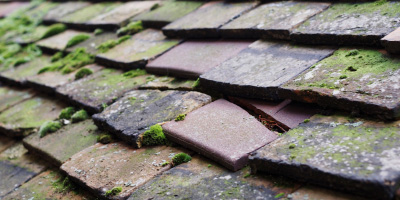 Hamerton roof repair costs